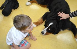 Canine Heroes Bring Smiles and Healing to Children with Special Needs