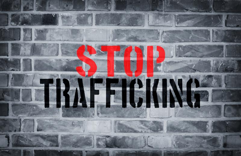 Stop Trafficking & Rescue Survivors (STARS)