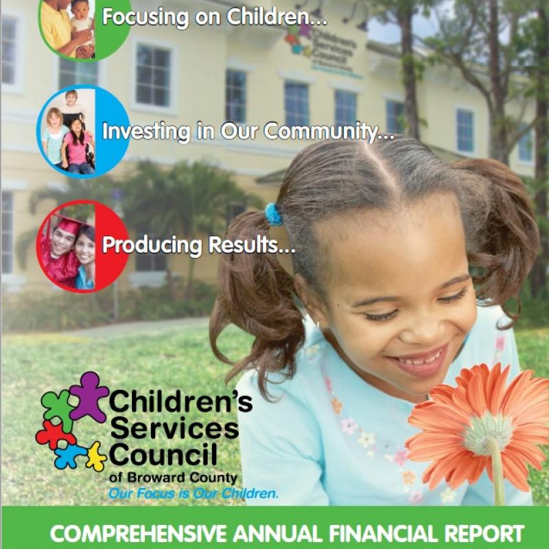 FY 2008-09 Comprehensive Annual Financial Report